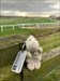 A visit around Cheltenham Racecourse ?? Log image uploaded from Geocaching® app