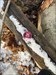 Found you some snow in a very old cache. Nice traveling with you! Log image uploaded from Geocaching® app