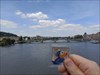 Duck and Prague Castle
