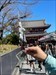 It took a while but now I like to welcome you to Japan. Have a good journey. Bild aus der Geocaching®-App hochgeladen