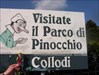 Pinocchio arriving in Collodi