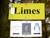 At the Limes in the Westerwald