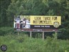 Todie's Wild Ride II: Hang up the phone!  Billboard sharing Todie&#39;s Wild Ride II
