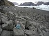 Mike sees elephant seals Antarctica