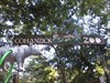 Rocky visits the Cohanzick Zoo in Bridgeton, NJ.