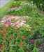 flower bed in the Botanic Garden