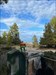 At Lake Huron Log image uploaded from Geocaching® app