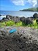 La Réunion - Indian Ocean  Bild aus der Geocaching®-App hochgeladen