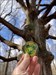 Beautiful coin.  We’re grabbing to take on vacation in April.  Thanks for sharing. Log image uploaded from Geocaching® app