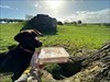 Very nice spot. I watched red kites. Hooman found another plastic box. I got a fish treat. Log image uploaded from Geocaching® app