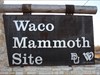 TBs at Waco TX Mammoth Site