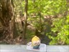 Kühles Bad bei Früh sommerlicher Temperatur Bild aus der Geocaching®-App hochgeladen