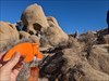 Amber in Joshua Tree NP, with Skull Rock
