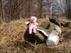 At the summit of Beech Hill (Bukovy vrch) near Karlsbad (Karlovy Vary) Pinkie with the cache.