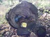 A Cache made for the Blue Ball