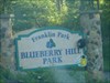 Gingerbread Man Visits Blueberry Hill Park