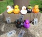 BOO!!! Halloween Ducks just visiting.