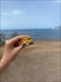 On holiday in Tenerife! Log image uploaded from Geocaching® app