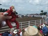 Heritage Days Rodeo, Strathmore, Alberta. One of the bucking events.  Perhaps, Bobo thinks a chimp might do well at this sport?