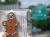 Gingerbread Man in Focus