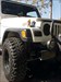 TB's hanging ou on the Jeep Hanging out on the Jeep. (Yes, I have an unhealthy obsession with my Jeep)