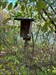 Birdhouse by Blue Heron Lake, Iowa