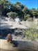 A quick stop at the mud pools on Waiotapu. Ben is blurry but the splash behind was too cool not to share  Log image uploaded from Geocaching® app