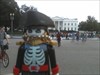 Captain Jack visits President Obama's House Took Captain Jack to the White House and then dropped him off in a nice state park nearby.  Hope he gets to go north to New York soon!