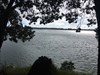 Visiting the Omokoroa Peninsula for a while! Log image uploaded from Geocaching® app