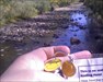Happy bug enjoys a view of Clear Creek Taken near hide site in Wheat Ridge, CO