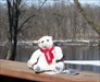 Pemberton the Coca Cola Bear on the River Pemberton the Coca Cola Bear visits MaxB&#39;s on the St Joseph River in Michigan