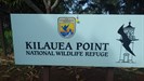 Kilauea Point National Park - picture 11