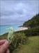 Sea caching in Bermuda! Ahhhh