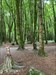 Visiting Bellek Woods! Log image uploaded from Geocaching® app