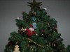 United for diabetes in our Christmas tree