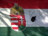 Tazzy Magyarországon / Tazzy in Hungary