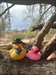 Quack quack I’m glad to have a creative duck to join me onto the next adventure  Log image uploaded from Geocaching® app