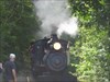 SR & RL steam engine Quite a few good rail trails for this TB to enjoy and take a ride on the No 3