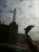 Travel Dolphin visits Battersea Power Station