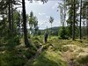 Travelled all the way up north in Sweden. But now you can enjoy the view of Värgsjön, a little bit more south.  Logfoto verzonden vanuit de Geocaching®-app