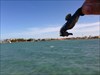 The diving seahorse in the Red Sea Zeytouna Beach - El Gouna - Egypt
