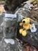 Cooper loves to travel! I found him in Laurenceton, Newfoundland and he travelled all the way from Germany! Please make sure he continues his journey from here! Happy travels Cooper we will miss you! :D Log image uploaded from Geocaching® app