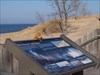 Learning About the Indiana Dunes