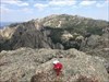 Little Devil's Tower in the Black Hills of SD Log Image uploaded from Geocaching® App