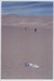 TBs, people (for scale), and the Great Sand Dunes