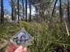 Brought this trackable back with me from Atlanta after meeting geosharks.
Today I’ve placed it in the oldest cache in the northern part of Tasmania.  Log image uploaded from Geocaching® app