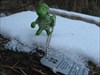 Toni im Schnee Toni Turtle auf seinem Weg im verschneiten Rheingau
