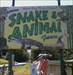 Rocky visits the Pocono Snake and Animal Farm.