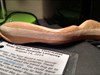 The Beautiful Lamprey I appreciate handcrafted items, especially wood... this is beautiful! Now I just have to figure out how to keep track of this beauty! I&#39;m kind of a Newbie!