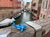 Flipper visited the canals of Venice on his way to Australia! Log image uploaded from Geocaching® app